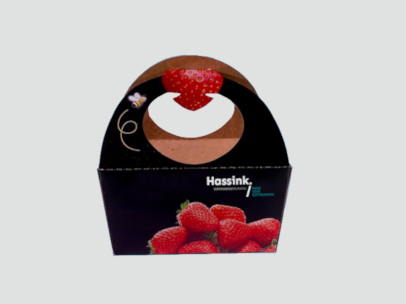 Groente en Fruit en vouwkarton Groente en Fruit en vouwkarton